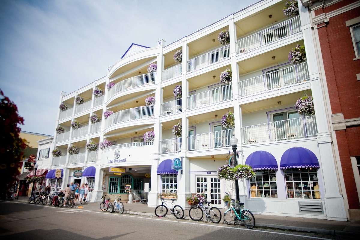 Lilac Tree Suites - Photo 1