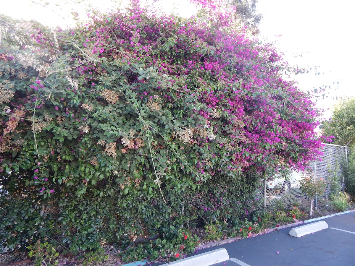 Bay Bridge Inn - Photo 1