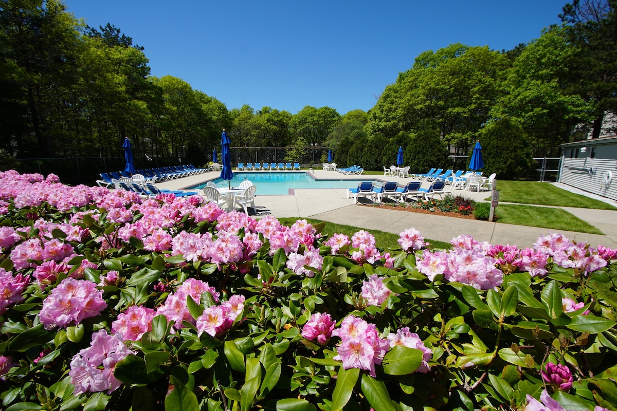 Sea Mist Resort - Photo 1