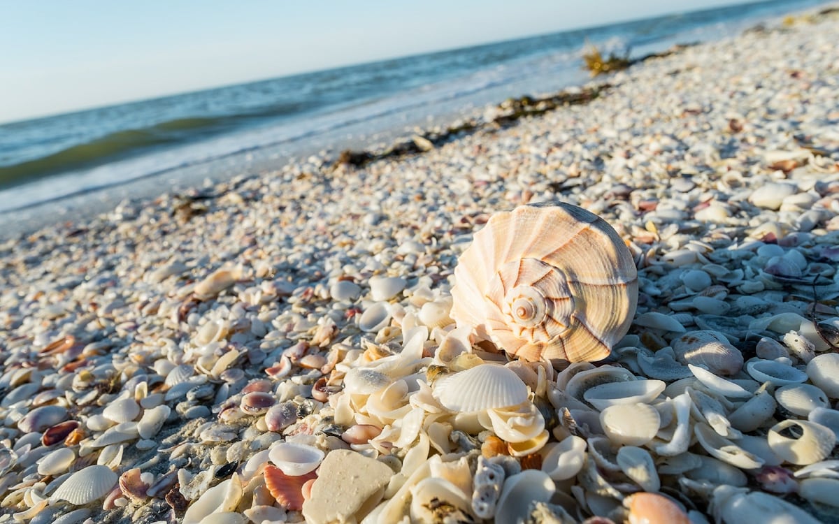 Sanibel Island Beach Resort - Photo 1