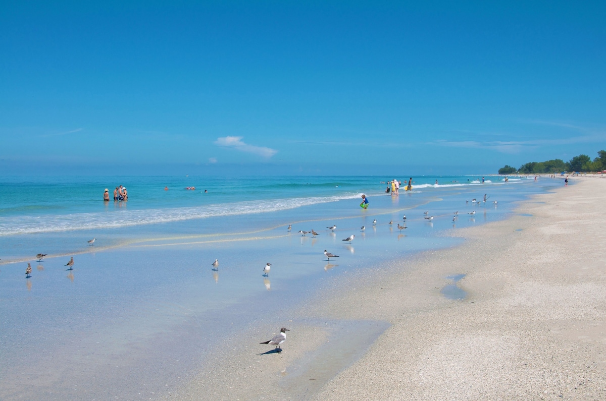 Tropic Isle at Anna Maria Island Inn - Photo 1