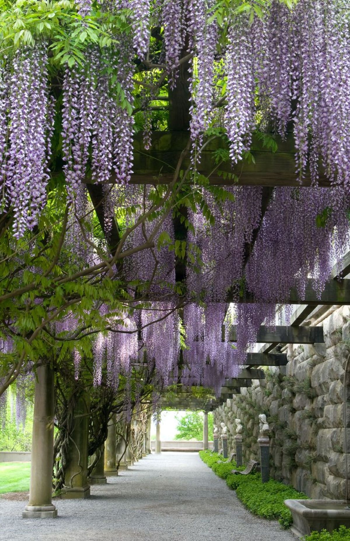 The Inn on Biltmore Estate - Photo 1