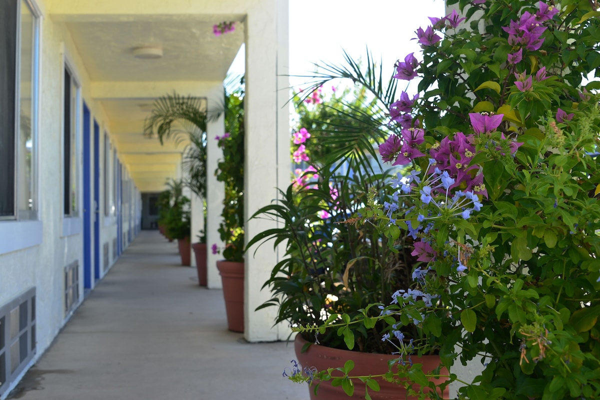 Americas Best Value Inn Bradenton Sarasota - Photo 1