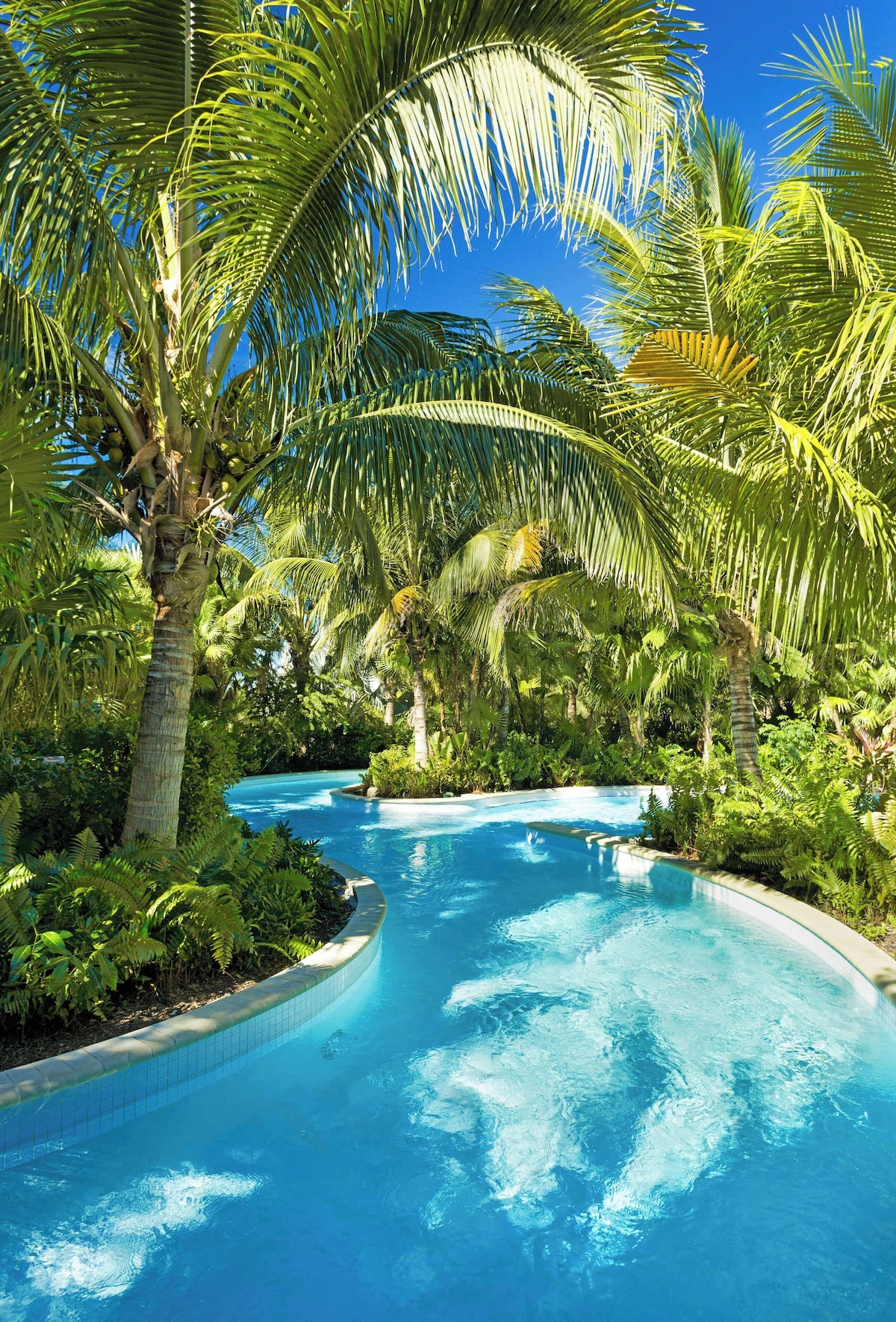 Hyatt Regency Coconut Point Resort And Spa - Photo 1