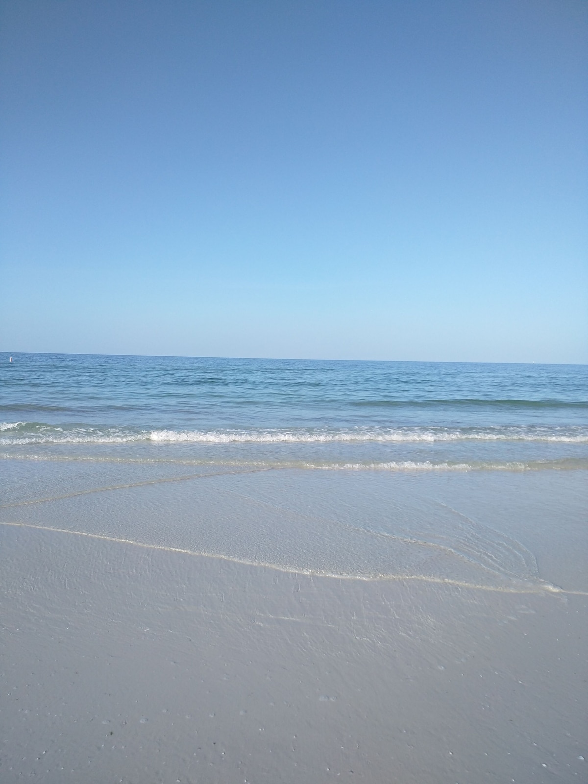 The Inn on Siesta Key - Photo 1