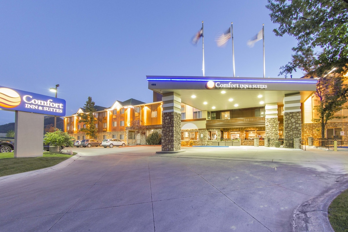 Comfort Inn and Suites Durango - Photo 1