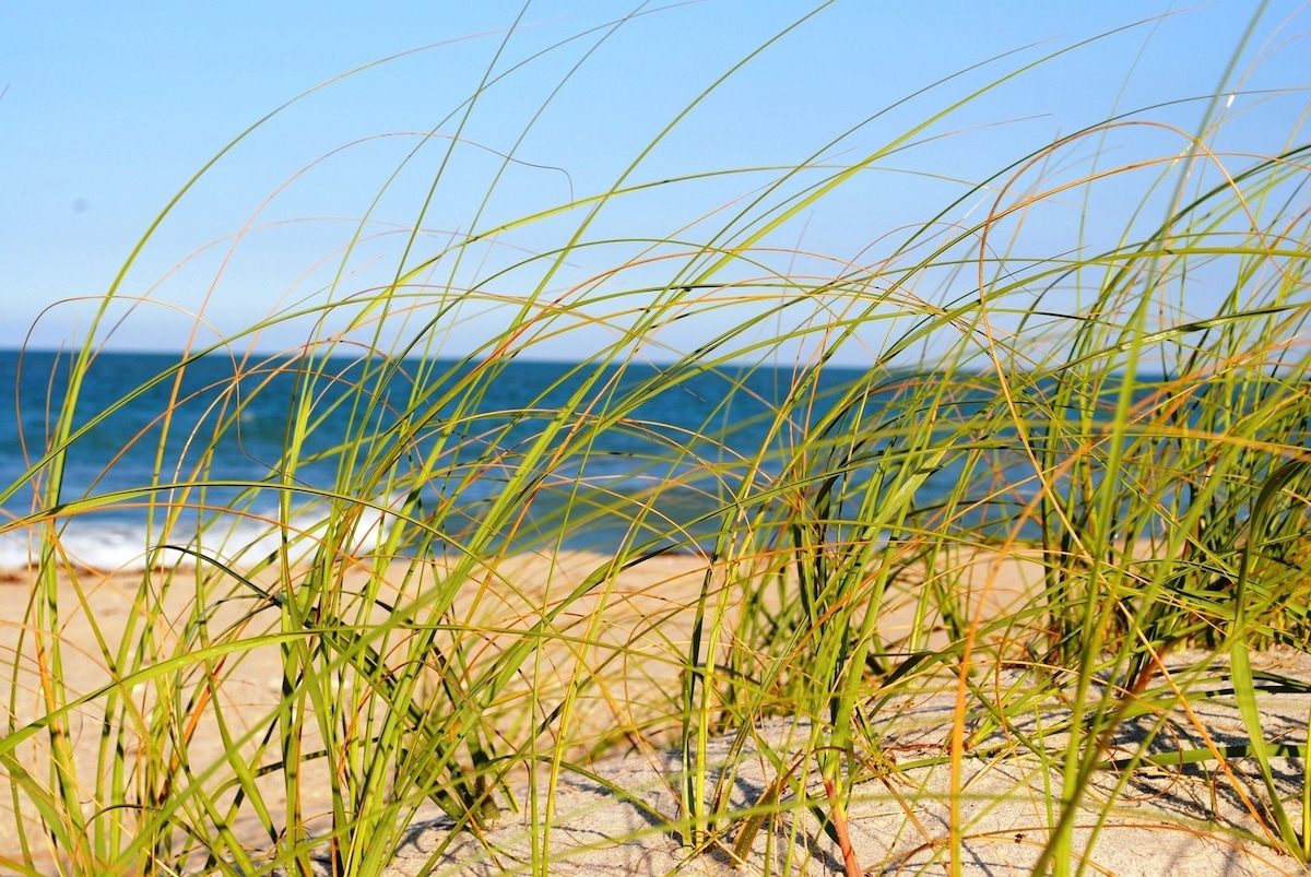 Seaspray Surf Lodge - Photo 1