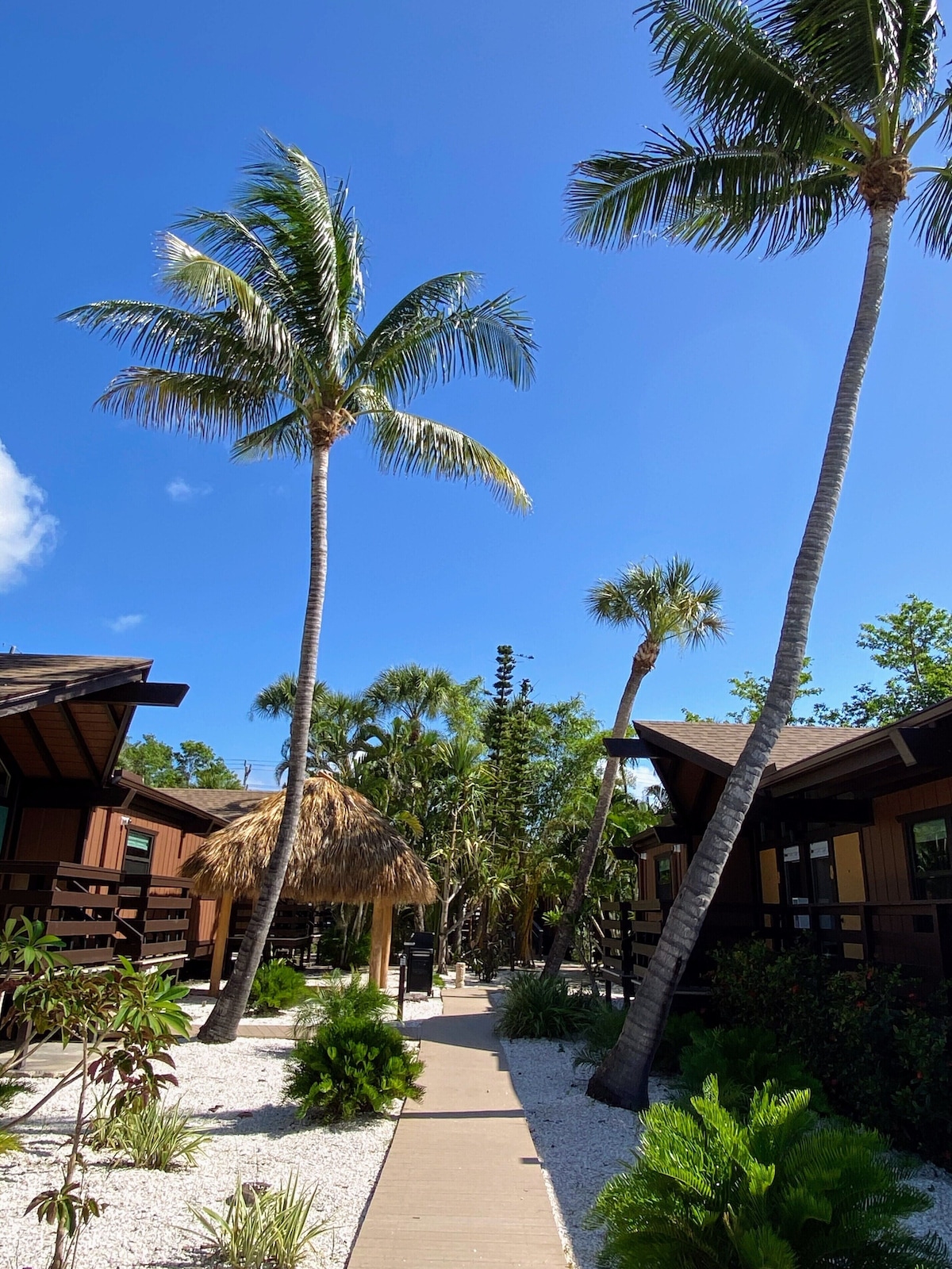 Kona Kai Motel - Photo 1
