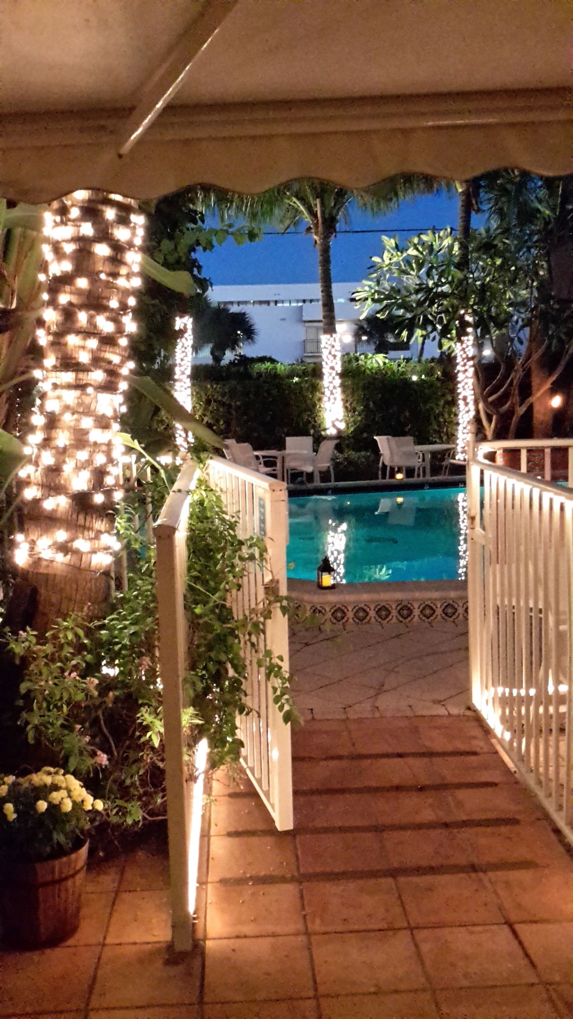 The Caribbean Court Boutique Hotel - Photo 1